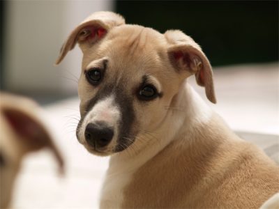 Classie_20.05.2013_1-small