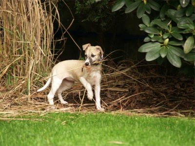 Classie_20.05.2013_4-small