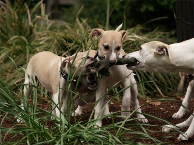 Eve_20.05.2013_1-small