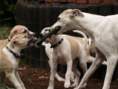 Eve_20.05.2013_2-small