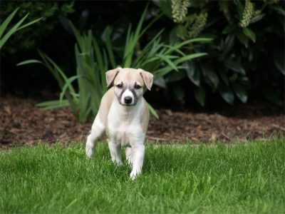 Faye_03.05.2013_3-small