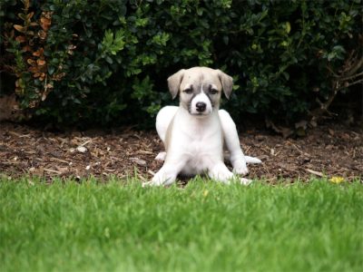 Faye_03.05.2013_4-small