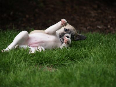 Faye_03.05.2013_5-small