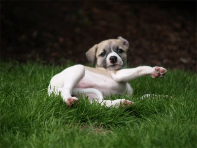 Faye_03.05.2013_6-small