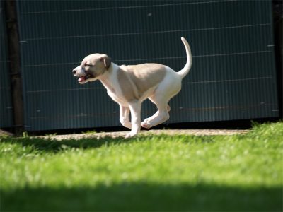 Faye_06.05.2013_1-small