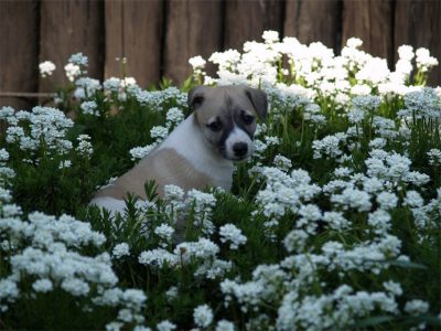 Faye_06.05.2013_3-small