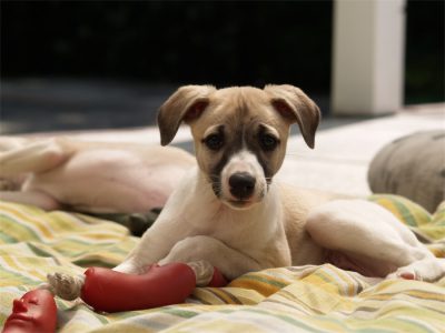 Faye_20.05.2013_1-small