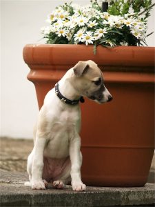 Faye_20.05.2013_3-small