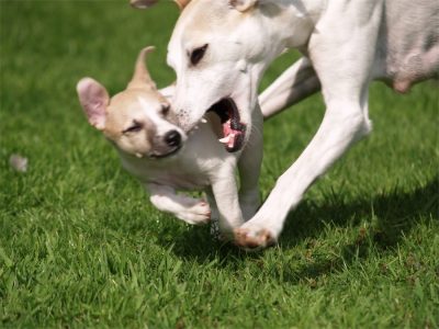 Fil_03.05.2013_2-small