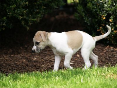 Fil_03.05.2013_4-small