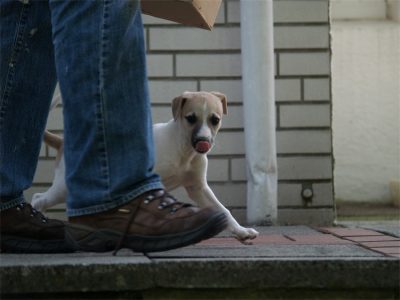 Fil_06.05.2013_1-small