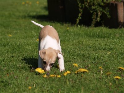 Fil_06.05.2013_2-small