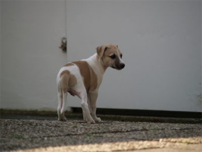 Fil_06.05.2013_3-small