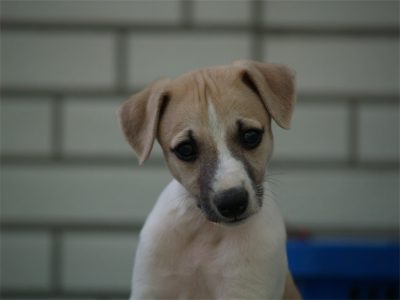 Fil_06.05.2013_5-small