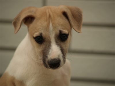 Fil_10.05.2013_2-small