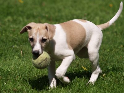 Fil_20.05.2013_1-small