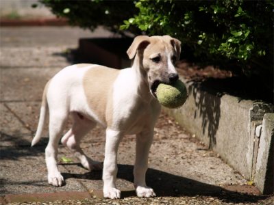 Fil_20.05.2013_2-small