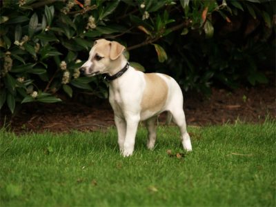 Fil_20.05.2013_4-small