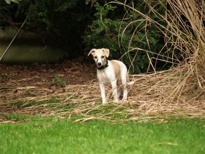 Fil_20.05.2013_5-small