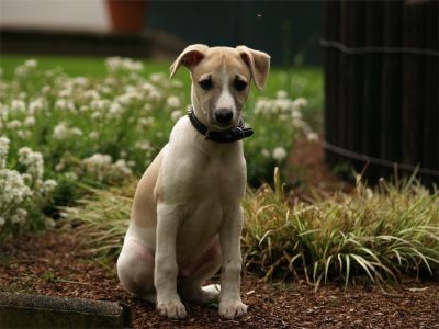 Fil_20.05.2013_6-small