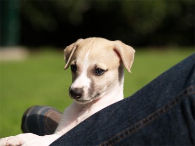 First Choice_01.05.2013_1-small