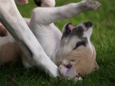 First Choice_01.05.2013_4-small