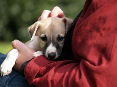 First Class_01.05.2013_1-small