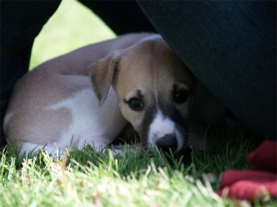 First Class_01.05.2013_3-small