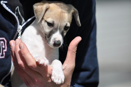 First Class_01.05.2013_4-small