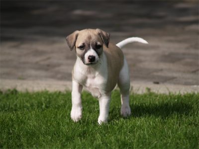 First Love_01.05.2013_2-small