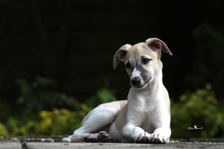 First_Class_27_05_2013_1