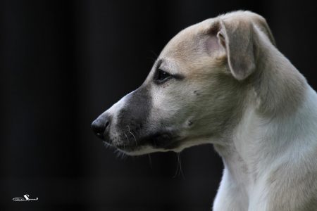 First_Class_27_05_2013_4