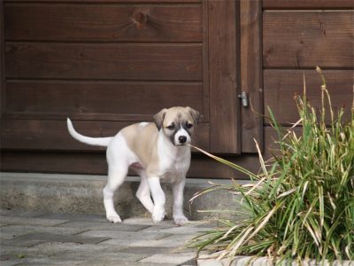 First_Love_01.05.2013_1-small