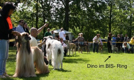 Freiburg 18.05.2013_BIS