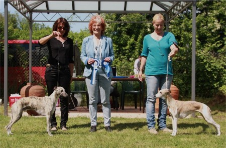 Freiburg 18.05.2013_BOB-small