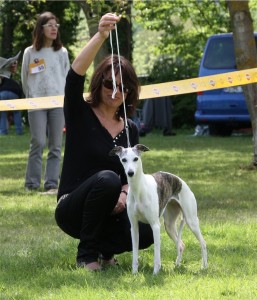 Freiburg 18.05.2013_Eden-small