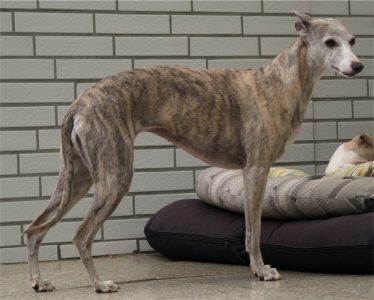 Grace_09.05.2013-small