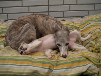 Grace_09.05.2013_2-small