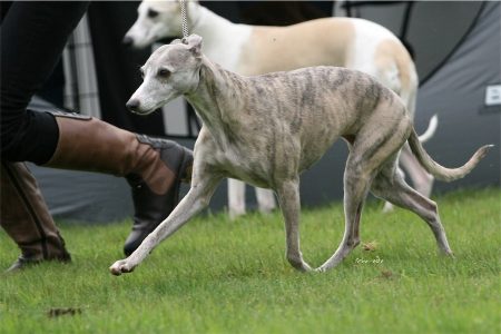 Grace_29_04_2012_2-small