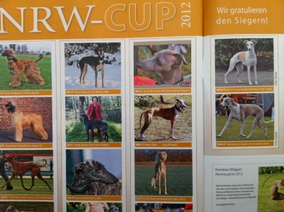 NRW-Cup