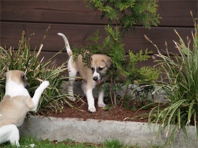 Rumo_03.05.2013_1-small