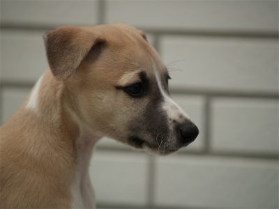 Rumo_10.05.2013_3-small