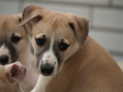 Rumo_10.05.2013_4-small