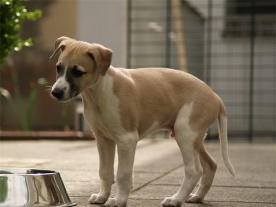 Rumo_10.05.2013_5-small