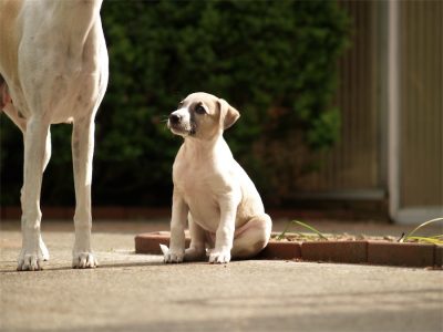 Rumo_10.05.2013_6-small