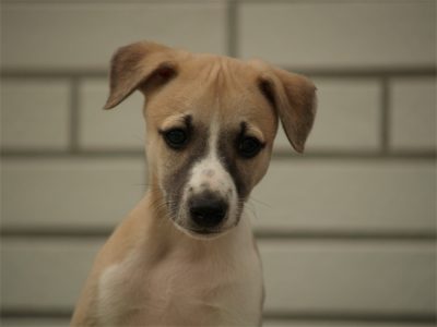 Rumo_10.05.2013_7-small