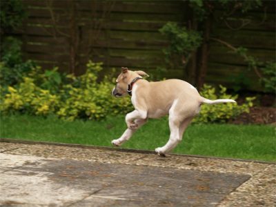 Rumo_20.05.2013_4-small