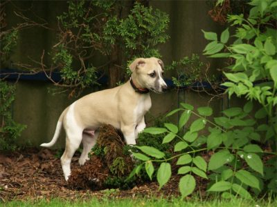 Rumo_20.05.2013_5-small