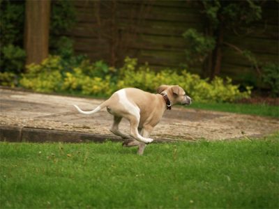 Rumo_20.05.2013_6-small