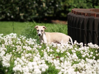 Rumo_20.05.2013_7-small